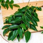 Dry Curry Leaf Powder, Kari Pata, Kari Leaf Powder, Kari Pata Gura - 100g
